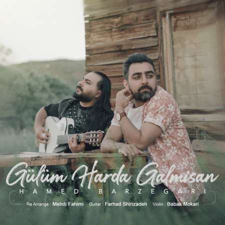Hamed Barzegari – Gülüm Harda Qalmisan